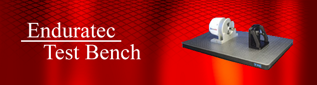 elf_banner